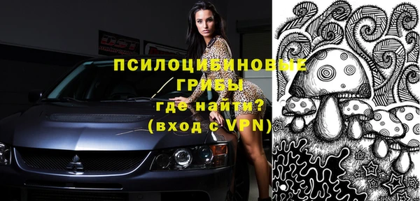 герыч Горнозаводск