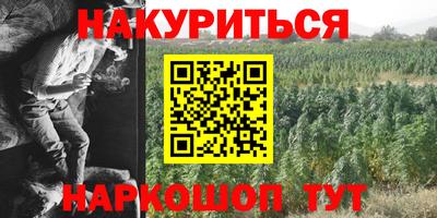 сатива Балахна