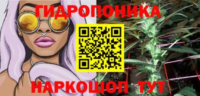 сатива Балахна