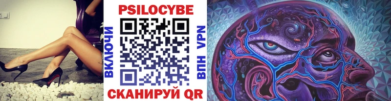 Галлюциногенные грибы Magic Shrooms  Гай 