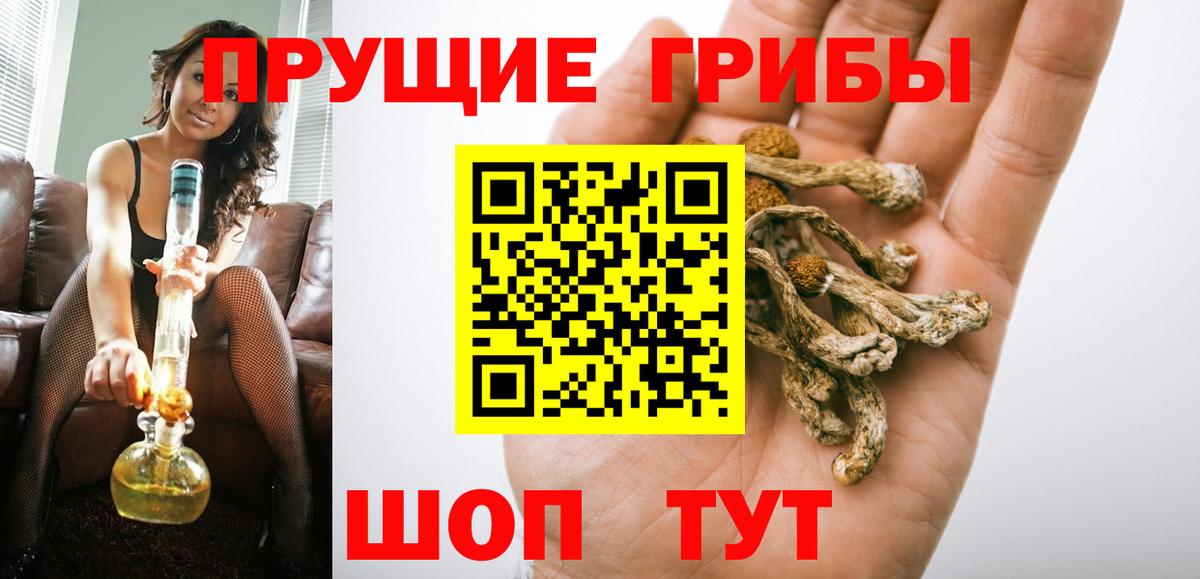 Псилоцибиновые грибы прущие грибы Гай