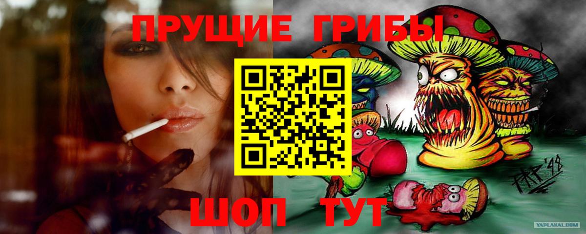 Псилоцибиновые грибы прущие грибы Гай