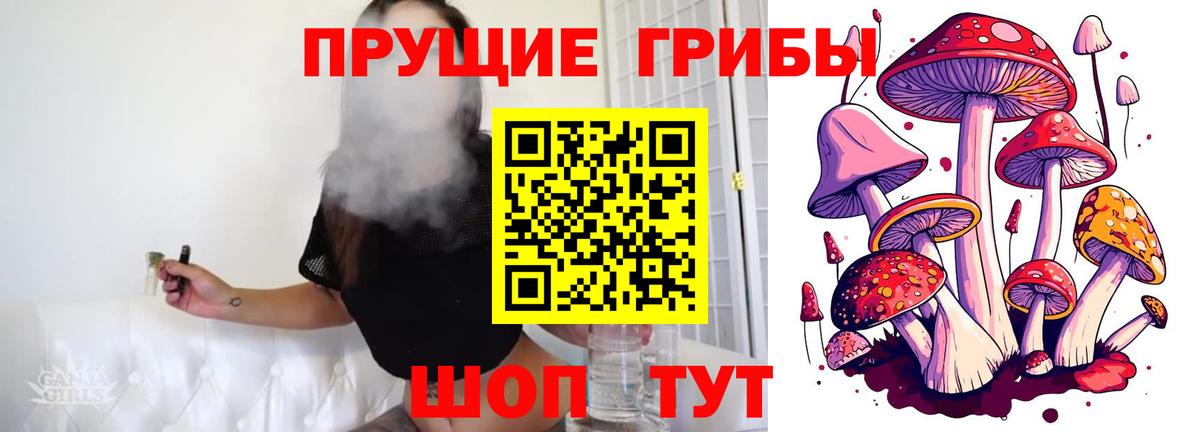 Псилоцибиновые грибы GOLDEN TEACHER  Вход с VPN  Гай  Галлюциногенные грибы ЛСД 